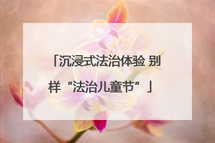 沉浸式法治体验 别样“法治儿童节”