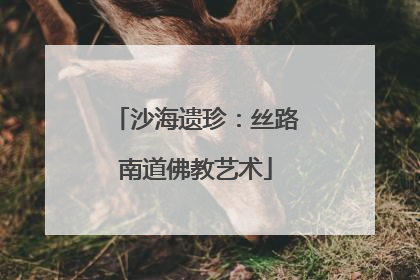 沙海遗珍：丝路南道佛教艺术