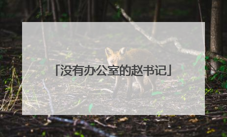没有办公室的赵书记