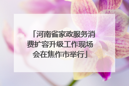 河南省家政服务消费扩容升级工作现场会在焦作市举行