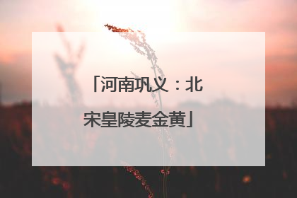 河南巩义：北宋皇陵麦金黄