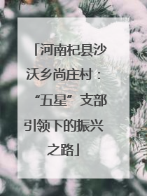 河南杞县沙沃乡尚庄村：“五星”支部引领下的振兴之路
