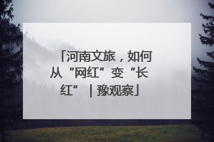 河南文旅，如何从“网红”变“长红”｜豫观察