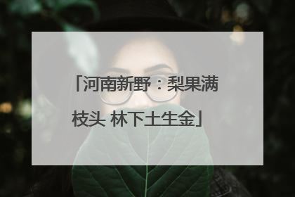 河南新野：梨果满枝头 林下土生金