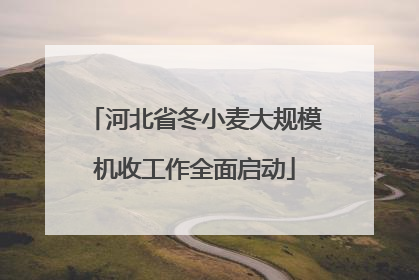 河北省冬小麦大规模机收工作全面启动