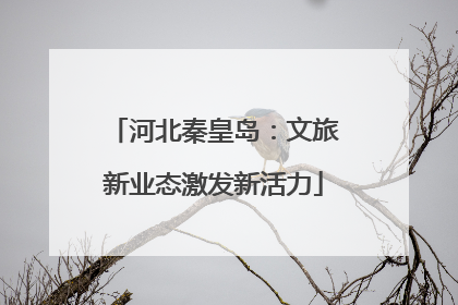 河北秦皇岛：文旅新业态激发新活力