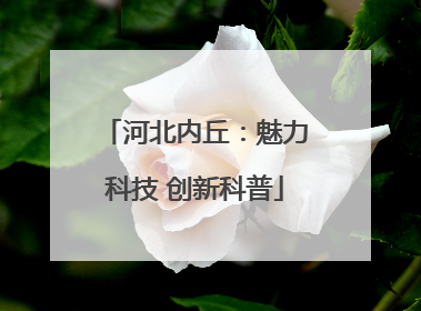 河北内丘：魅力科技 创新科普