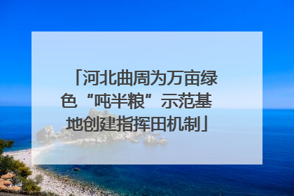河北曲周为万亩绿色“吨半粮”示范基地创建指挥田机制
