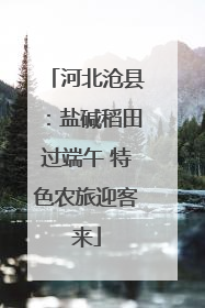 河北沧县：盐碱稻田过端午 特色农旅迎客来