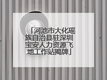 河池市大化瑶族自治县驻深圳宝安人力资源飞地工作站揭牌