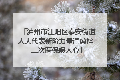 泸州市江阳区泰安街道人大代表新阶力量润桑梓 二次医保暖人心