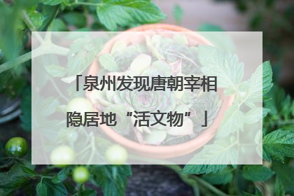 泉州发现唐朝宰相隐居地“活文物”
