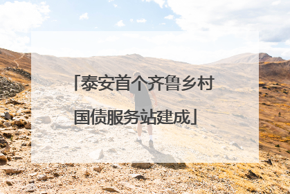 泰安首个齐鲁乡村国债服务站建成