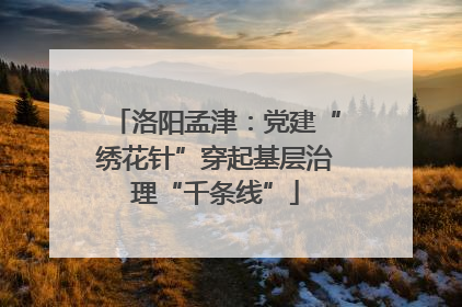 洛阳孟津：党建“绣花针”穿起基层治理“千条线”