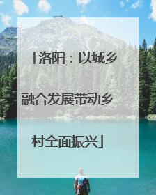 洛阳：以城乡融合发展带动乡村全面振兴