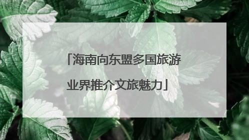 海南向东盟多国旅游业界推介文旅魅力