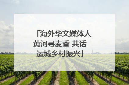 海外华文媒体人黄河寻麦香 共话运城乡村振兴