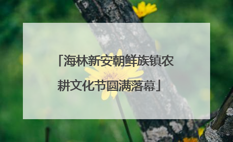 海林新安朝鲜族镇农耕文化节圆满落幕