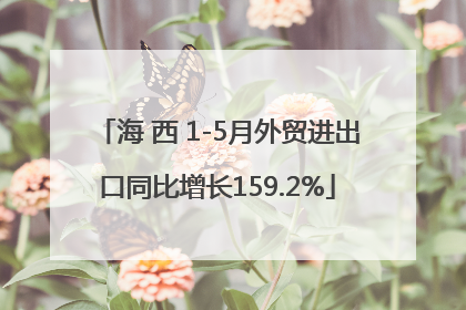 海 西 1-5月外贸进出口同比增长159.2%