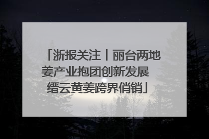 浙报关注丨丽台两地姜产业抱团创新发展 缙云黄姜跨界俏销