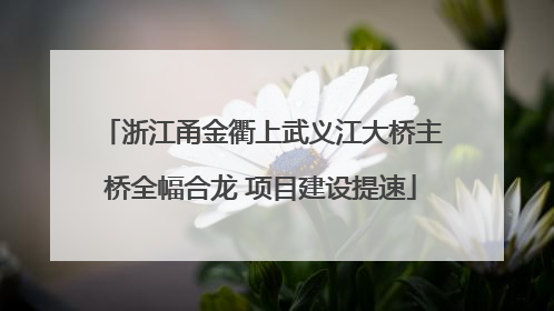 浙江甬金衢上武义江大桥主桥全幅合龙 项目建设提速