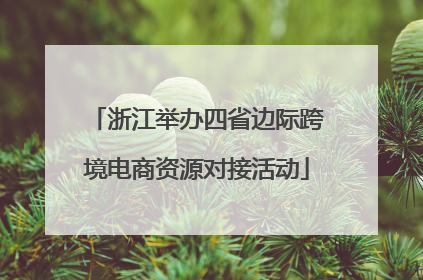浙江举办四省边际跨境电商资源对接活动
