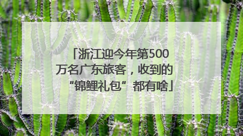 浙江迎今年第500万名广东旅客，收到的“锦鲤礼包”都有啥