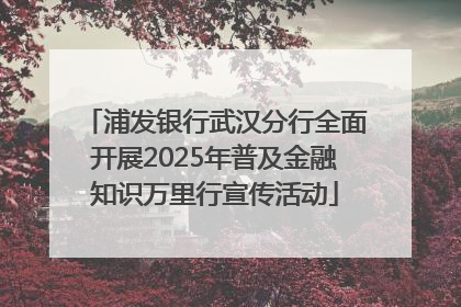 浦发银行武汉分行全面开展2025年普及金融知识万里行宣传活动