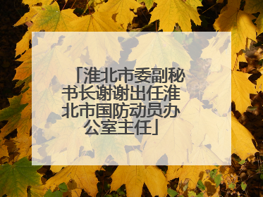 淮北市委副秘书长谢谢出任淮北市国防动员办公室主任