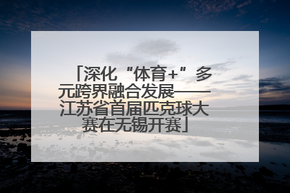 深化“体育+”多元跨界融合发展——江苏省首届匹克球大赛在无锡开赛