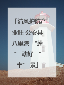 清风护航产业旺 公安县八里港 “莲” 动好 “丰” 景