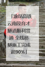 渝昆高铁云南段育才隧道顺利贯通 全线桥隧施工完成超90%
