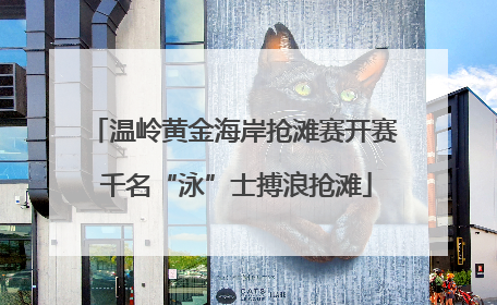 温岭黄金海岸抢滩赛开赛 千名“泳”士搏浪抢滩