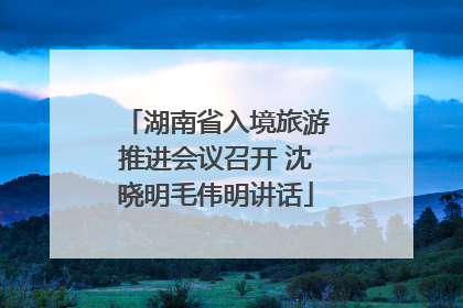 湖南省入境旅游推进会议召开 沈晓明毛伟明讲话