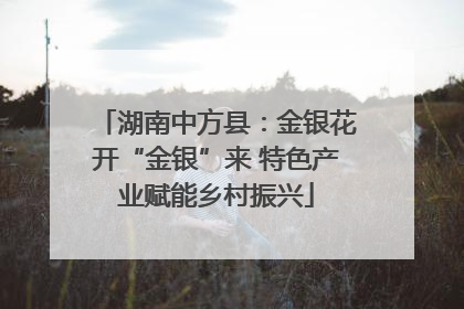 湖南中方县：金银花开“金银”来 特色产业赋能乡村振兴