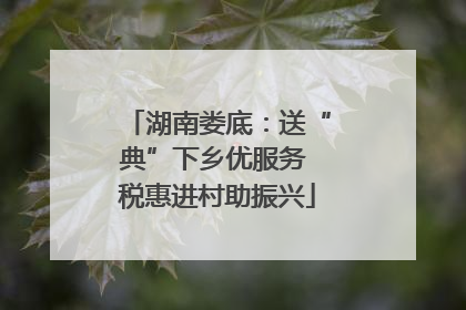 湖南娄底：送“典”下乡优服务 税惠进村助振兴