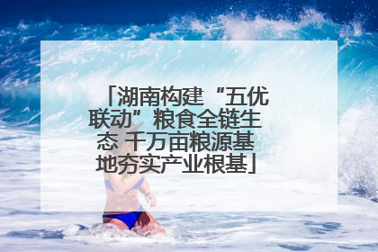 湖南构建“五优联动”粮食全链生态 千万亩粮源基地夯实产业根基