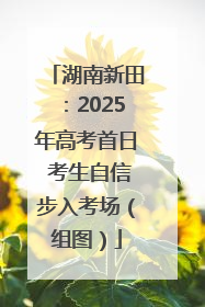 湖南新田：2025年高考首日 考生自信步入考场（组图）