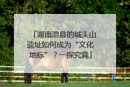 湖南澧县的城头山遗址如何成为“文化地标”？一探究竟