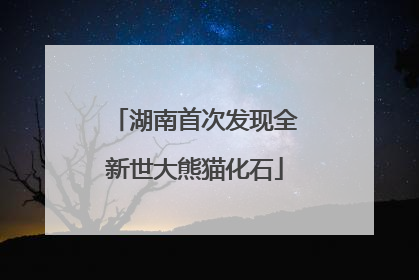 湖南首次发现全新世大熊猫化石