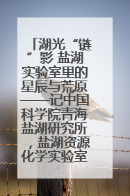 湖光“链”影 盐湖实验室里的星辰与荒原——记中国科学院青海盐湖研究所，盐湖资源化学实验室党总支书记、副主任刘忠