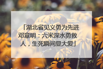 湖北省见义勇为先进邓章明：六米深水勇救人，生死瞬间显大爱