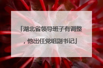 湖北省领导班子有调整，他出任党组副书记