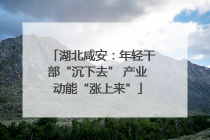 湖北咸安：年轻干部“沉下去” 产业动能“涨上来”