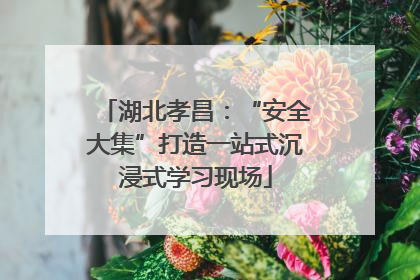 湖北孝昌：“安全大集”打造一站式沉浸式学习现场