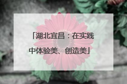 湖北宜昌：在实践中体验美、创造美