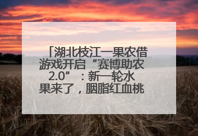湖北枝江一果农借游戏开启“赛博助农2.0”：新一轮水果来了，胭脂红血桃已预售500单