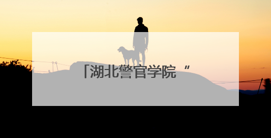 湖北警官学院“1+3+N”实战育警硕果盈枝