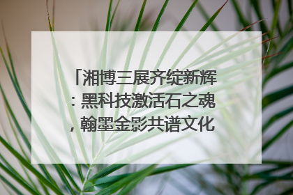 湘博三展齐绽新辉：黑科技激活石之魂，翰墨金影共谱文化遗产日华章