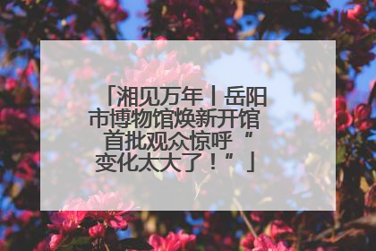 湘见万年丨岳阳市博物馆焕新开馆 首批观众惊呼“变化太大了！”